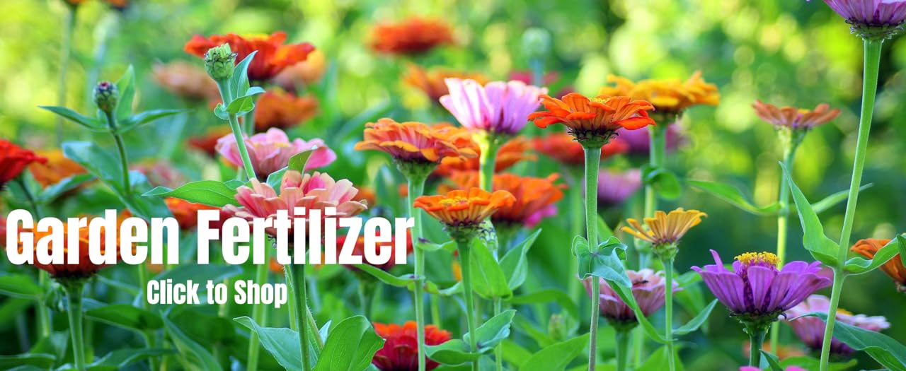 Cultivate Your Dream Garden Today